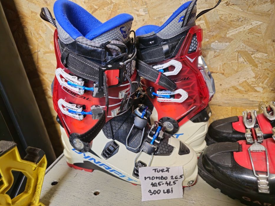 Vand clapari tura mondo 26 si 24