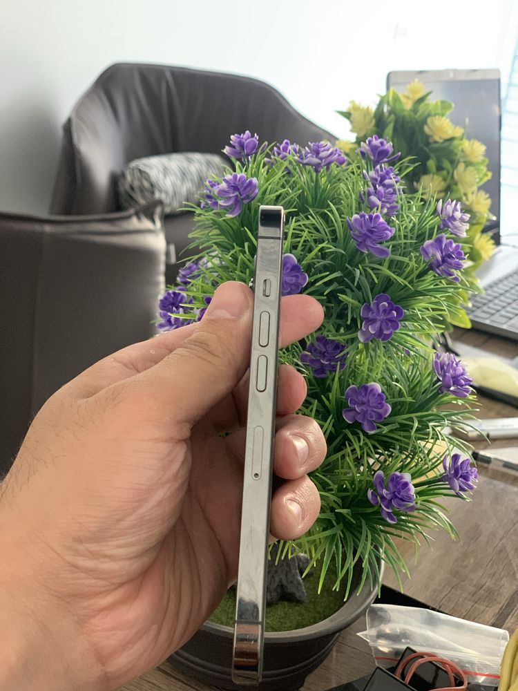 iPhone 13 Pro ( Graphite )