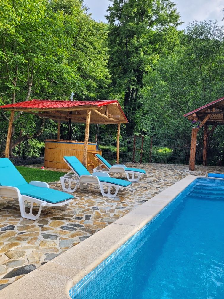 Cabana cu piscina de inchiriat in Valea ierii