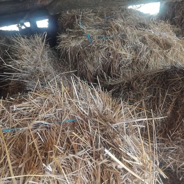 Baloți de fân cu lucernă