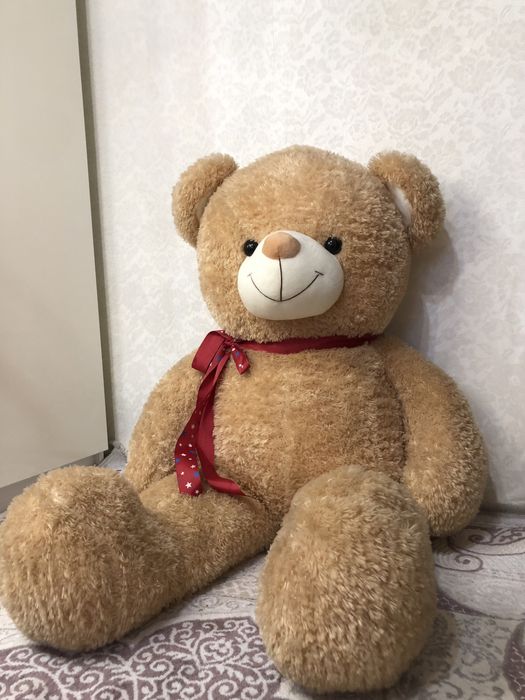 Продам медведя