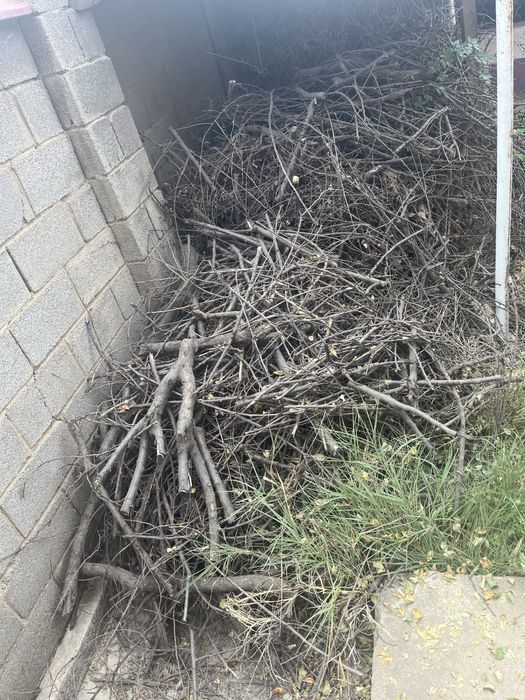 Отын кесілген ағаш, дрова