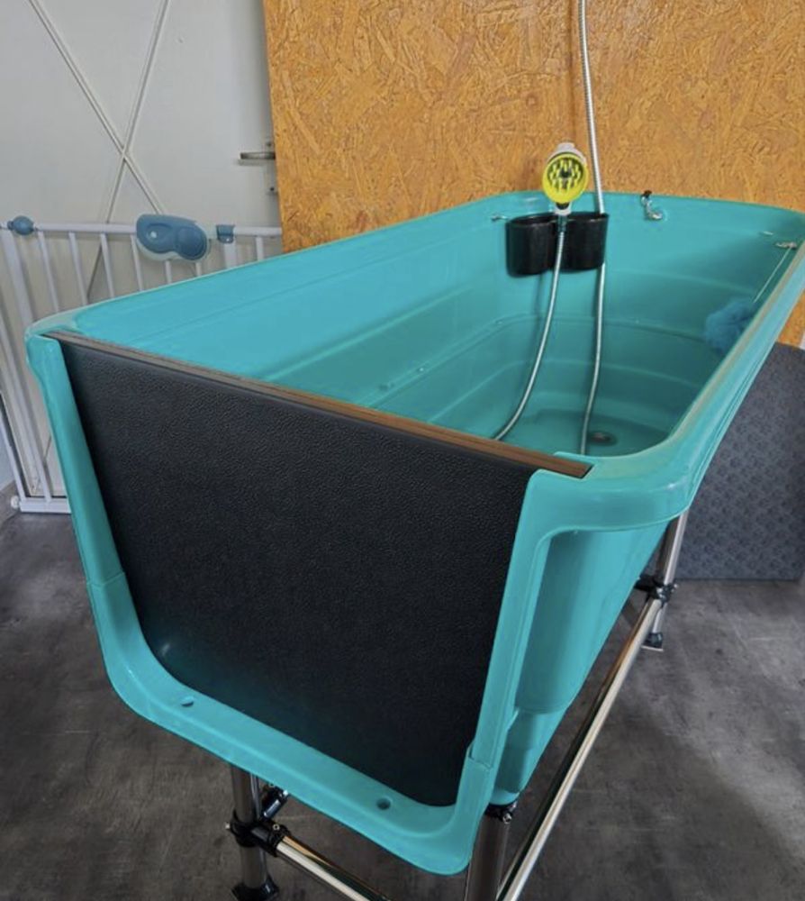 Cadă fixă cosmetică veterinară cu rampă – Model H‑119R