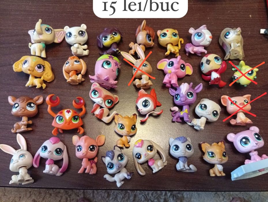 Little Pet  Shop