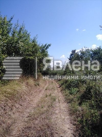 Продава се Парцел в с. Българи, Област Бургас - 825 кв.м за 31 €/кв.м - Снимка #5