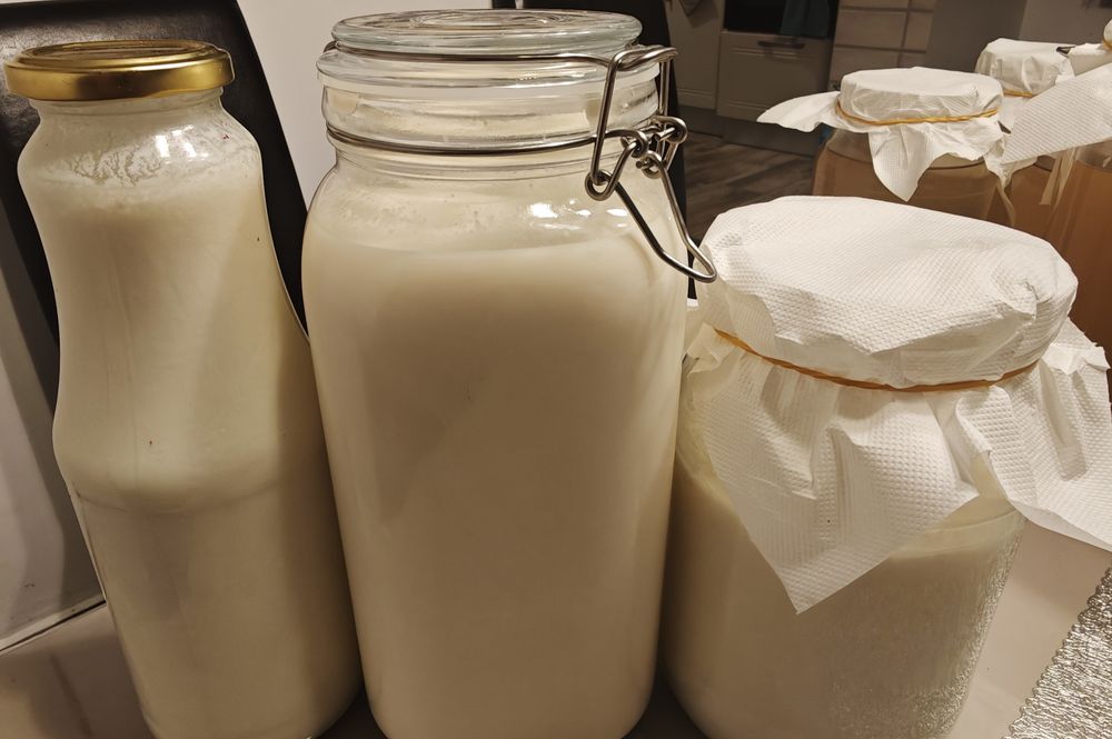 Kefir de lapte. Chefir de apă