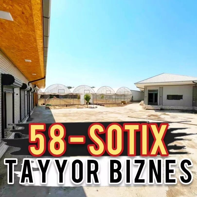 Tayor ferma sotiladi