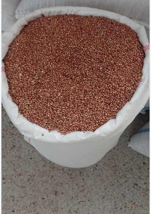 Amestec cereale pentru porumbei,păsări,din 8 semințe