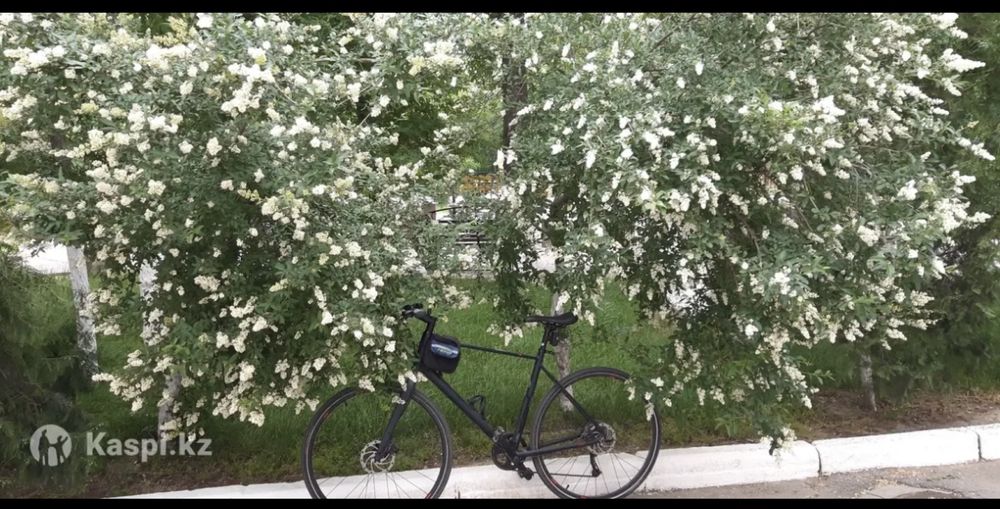 Велосипед | 9 скоростей