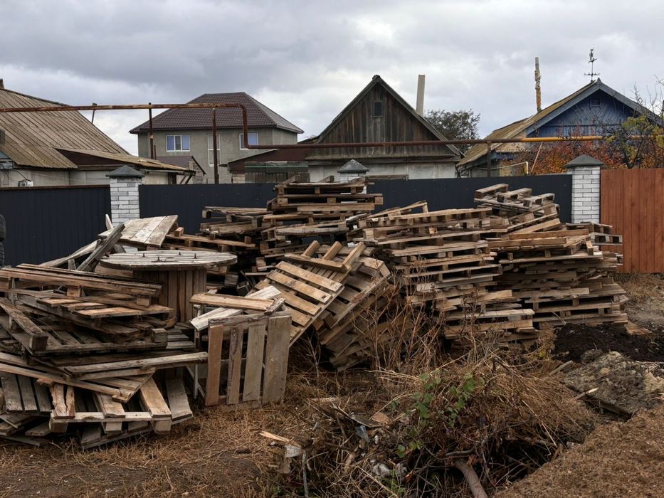 Поддоны, деревья по 500тг