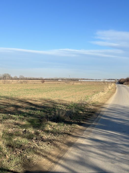 Oferta: 2 loturi intravilan 500 mp Ciolpani (la 20 min de Bucuresti)