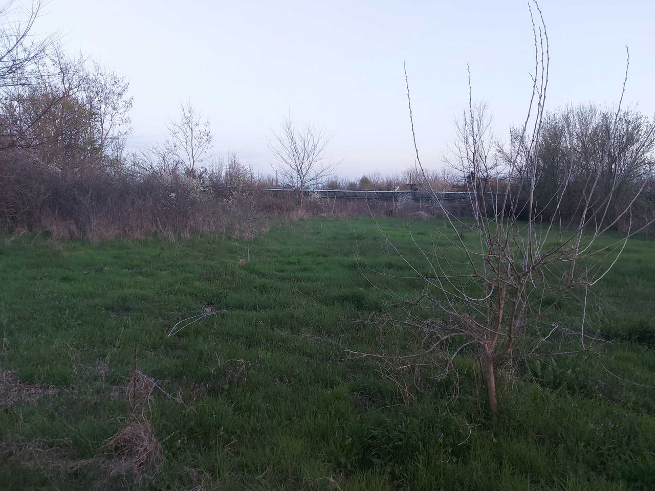 Продава се Парцел в с. Пъстрен, Област Стара Загора - 1414 кв.м за 3 €/кв.м - Снимка #3