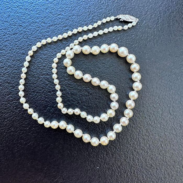 Perle naturale Akoya apă sărată 
50 cm inchezatore din argint