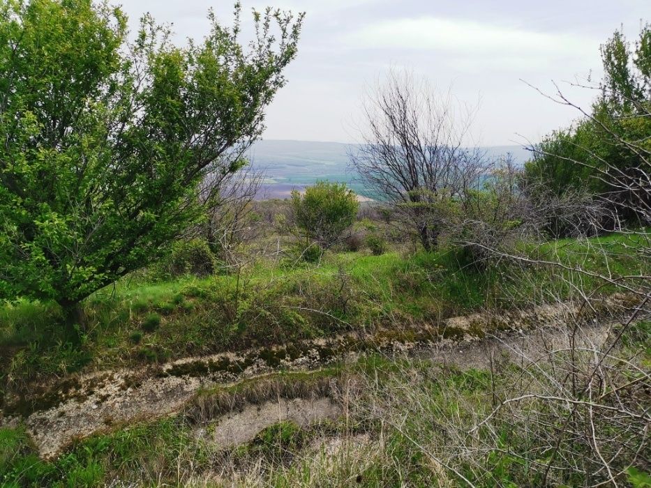 Къща с панорамна гледка и голям двор в с. Скала, Обл. Бургас