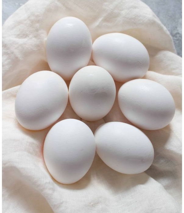 Продам инкубационое   яйцо куриное породы Легорн