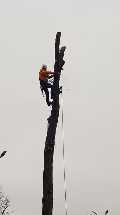 Alpinism utilitar/lucru la inaltime