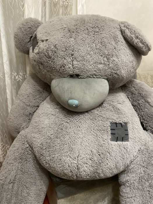 Мишка Тедди, куплен несколько месяцев назад