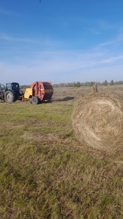 Продам сено 5000 тысяч