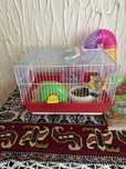 Schimb/Vand hamsteri