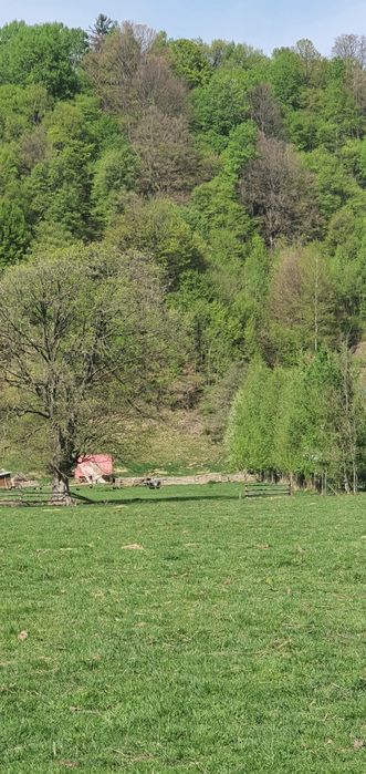 Teren intravilan 4300 mp zona Plaiul Foii oras Zarnesti