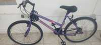 Vand Bicicleta Wildthing  Blowout 26'