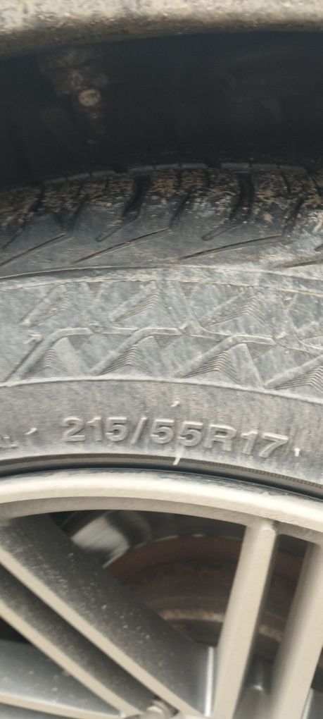 Vossen disca balon