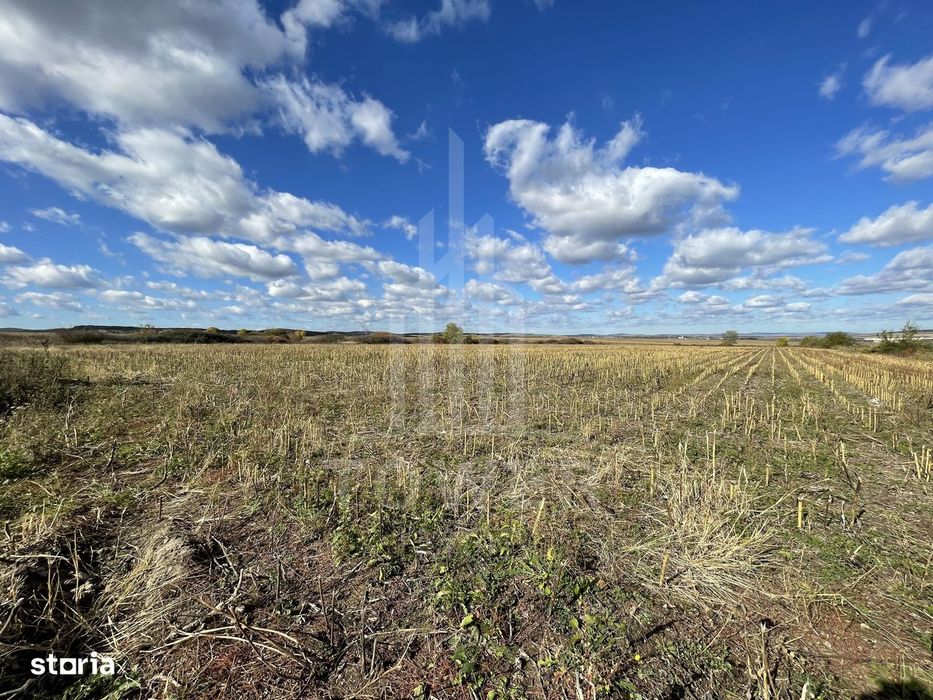 De vânzare teren intravilan – Cristian, Sibiu