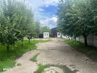 Teren industrial 891 mp, Sanmartin-Rontau