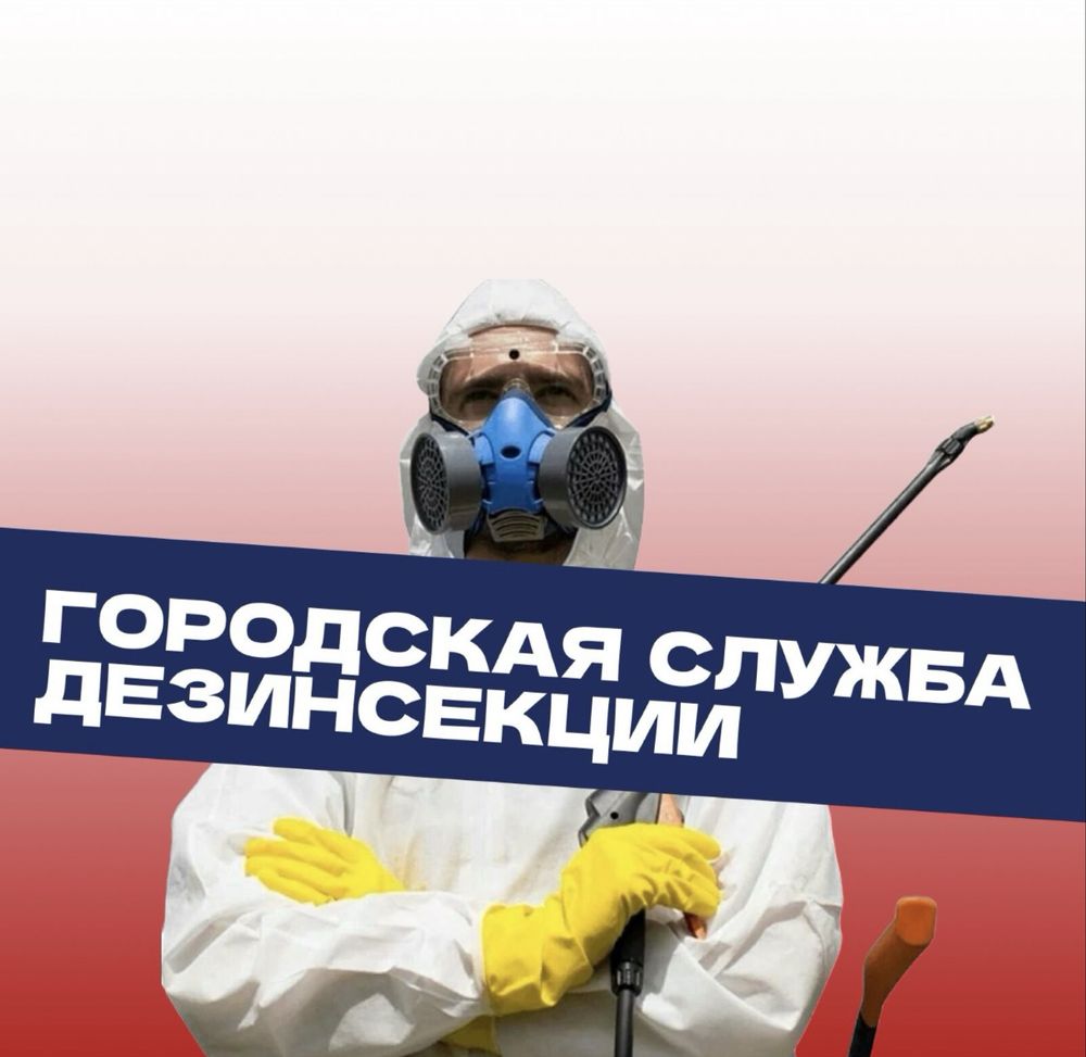 Chistodez.uz — профессиональная дезинсекция дезинфекция в Узбекистане