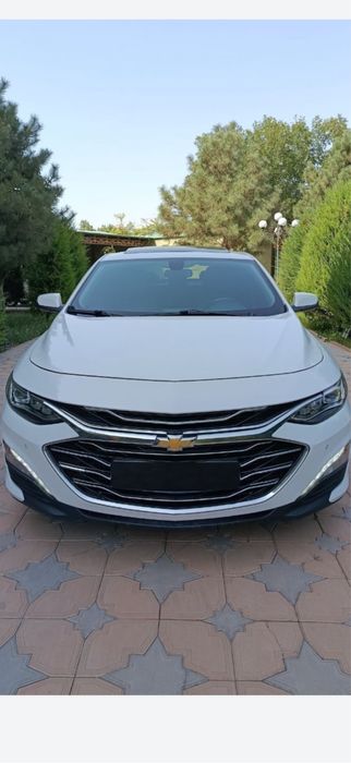 malibu premer oq kraska bor oldi kriloda orqa kriloda petno dtp bulmag
