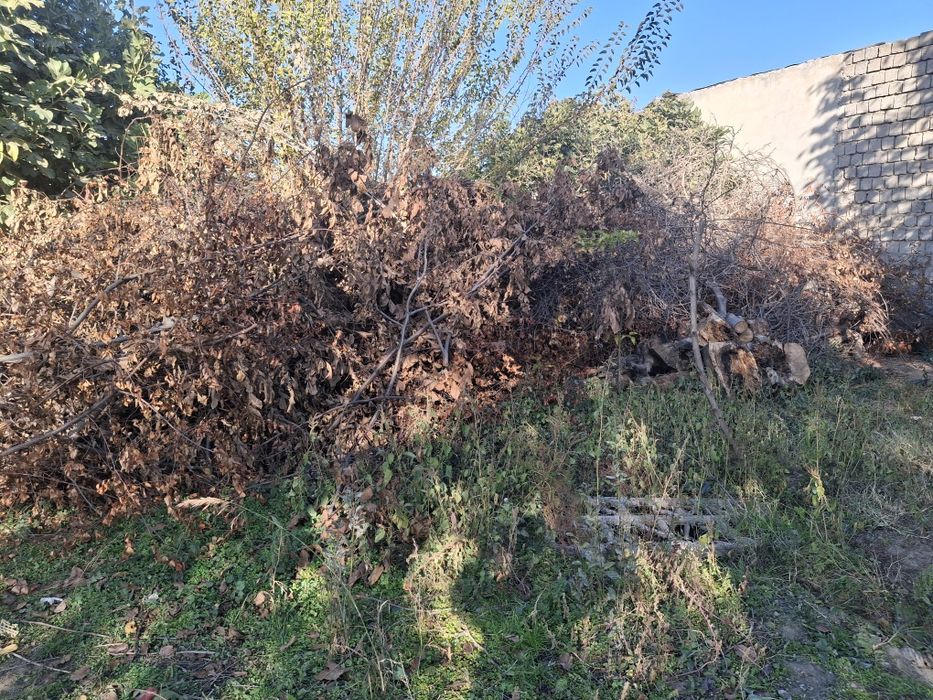 Продаётся большое количество дрова