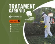Stropire Tuia Leylandii Tratament Gard Viu - Servicii Arborist Cluj