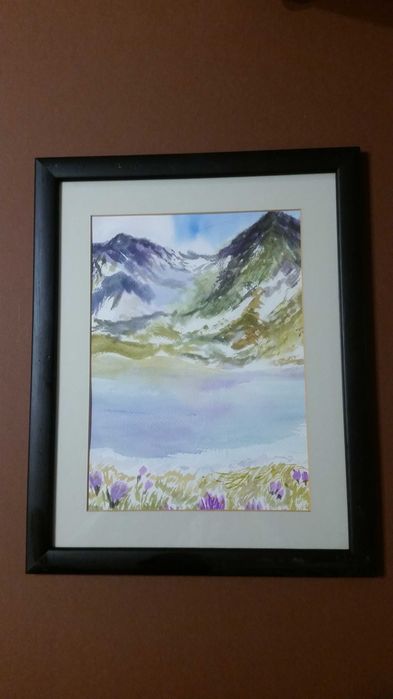 Пейзаж от Швейцария. В черна рамка със стъкло отпред. Има и паспарту.