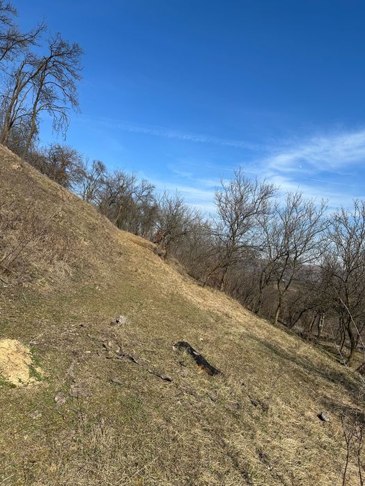 Casa taraneasca CF partial renovata, cu 8000 m teren