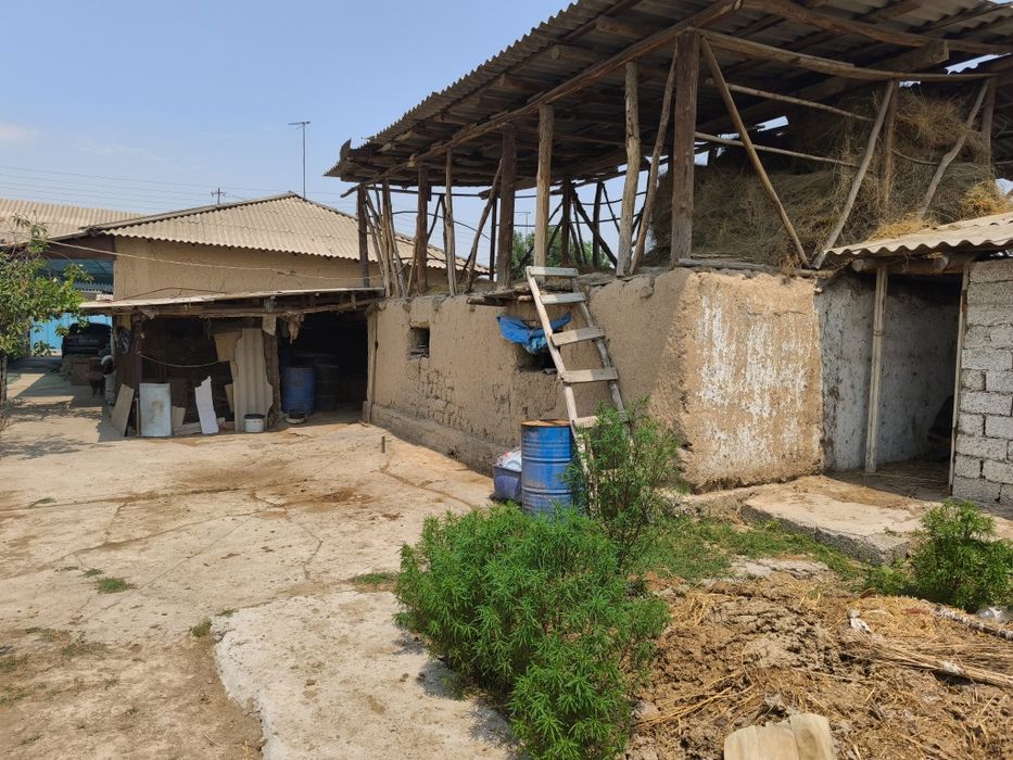 Продам часть своего участка Новый Ташкент