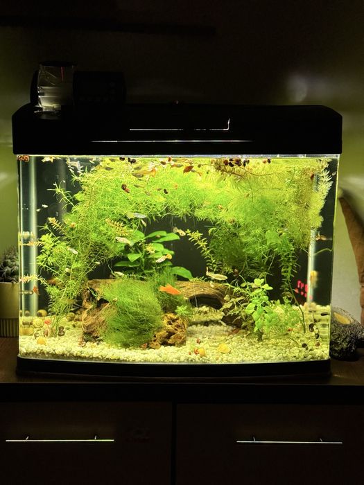 Vand acvariu curbat 100 litrii