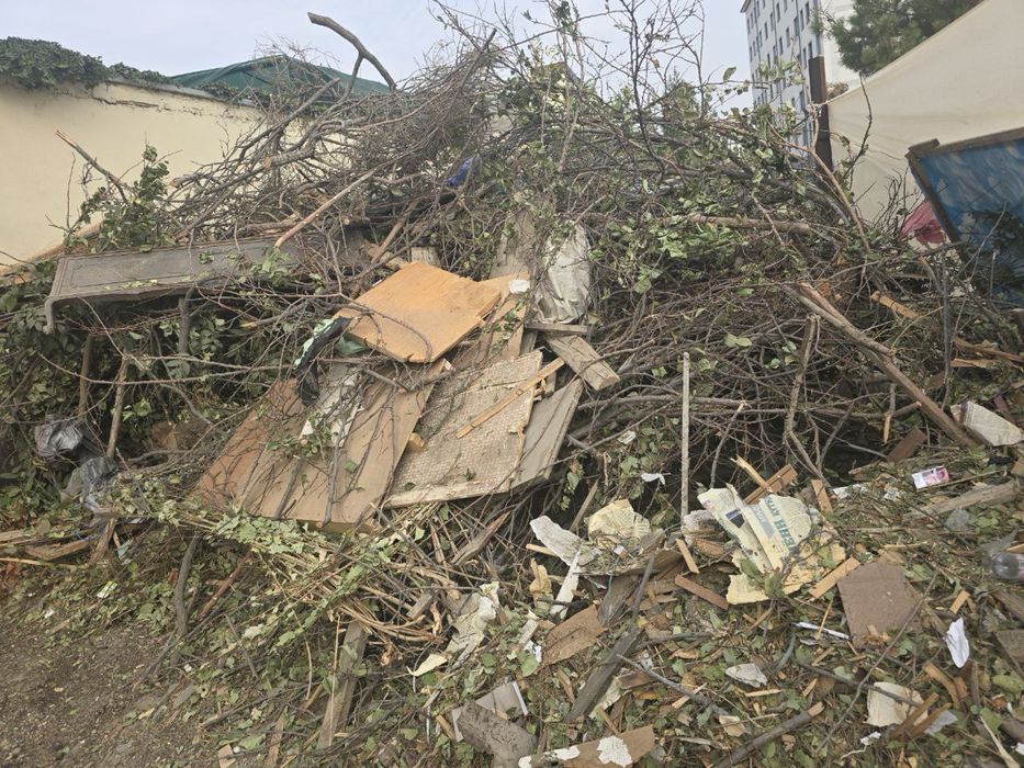 дрова и хонтахта бесплатно õtinlar tekin