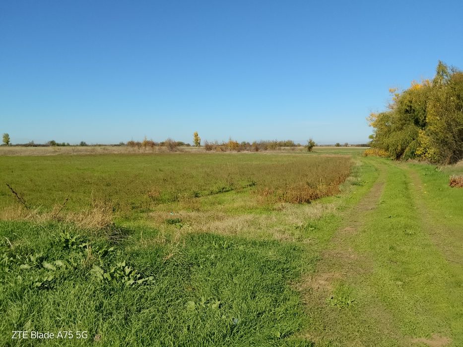 Земеделска земя трета категория в началото на с Конуш