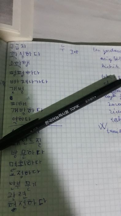 Koreadan kelgan ruchka