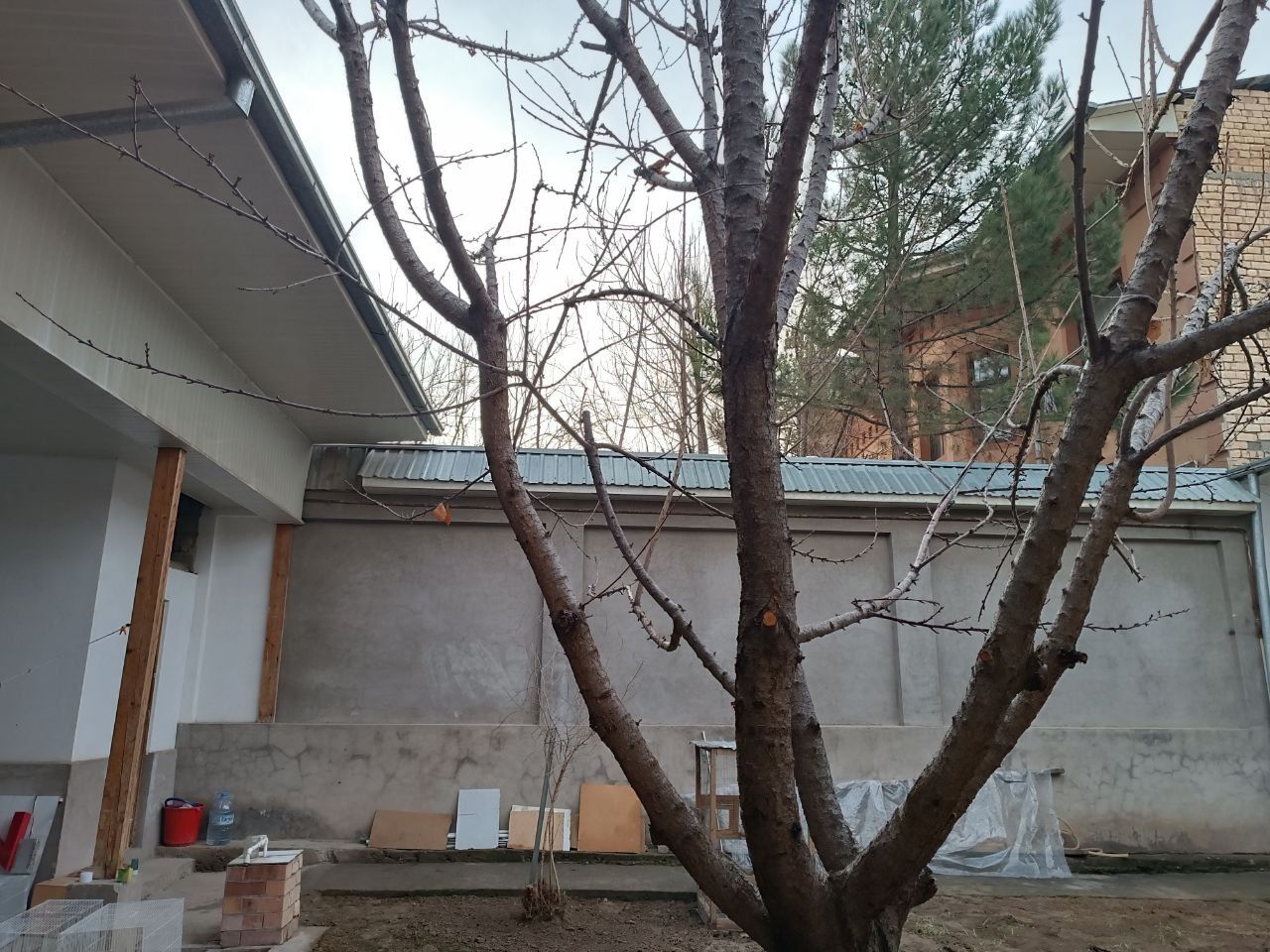 Toshkent tumani kirovda 3.5 Uchaska Sotiladi 3.5 sotix