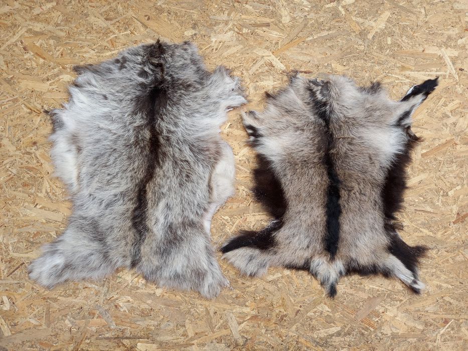 Piei/Blănuri argasite Ied/Capră