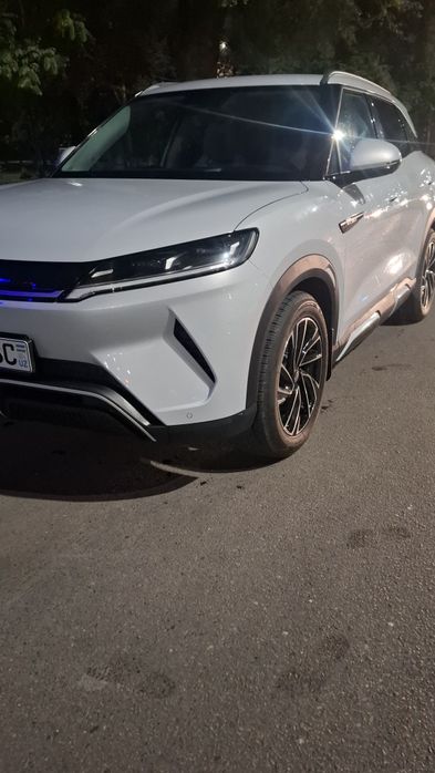 Byd yuan up dop opsiya +