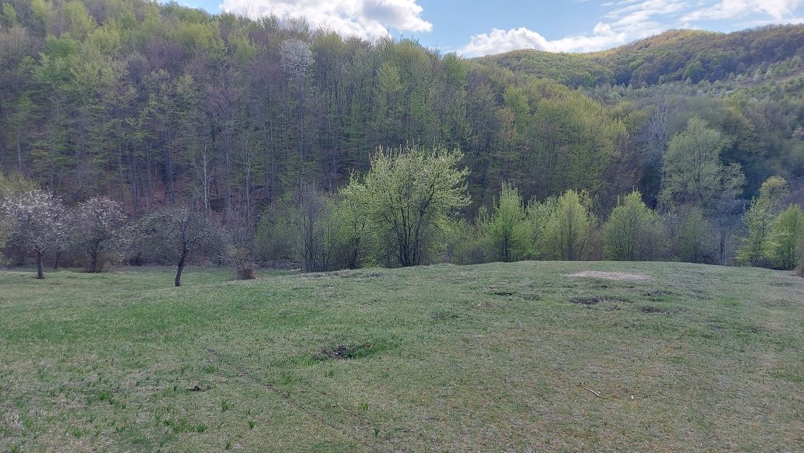 Vând locuri de casă în comuna Magura