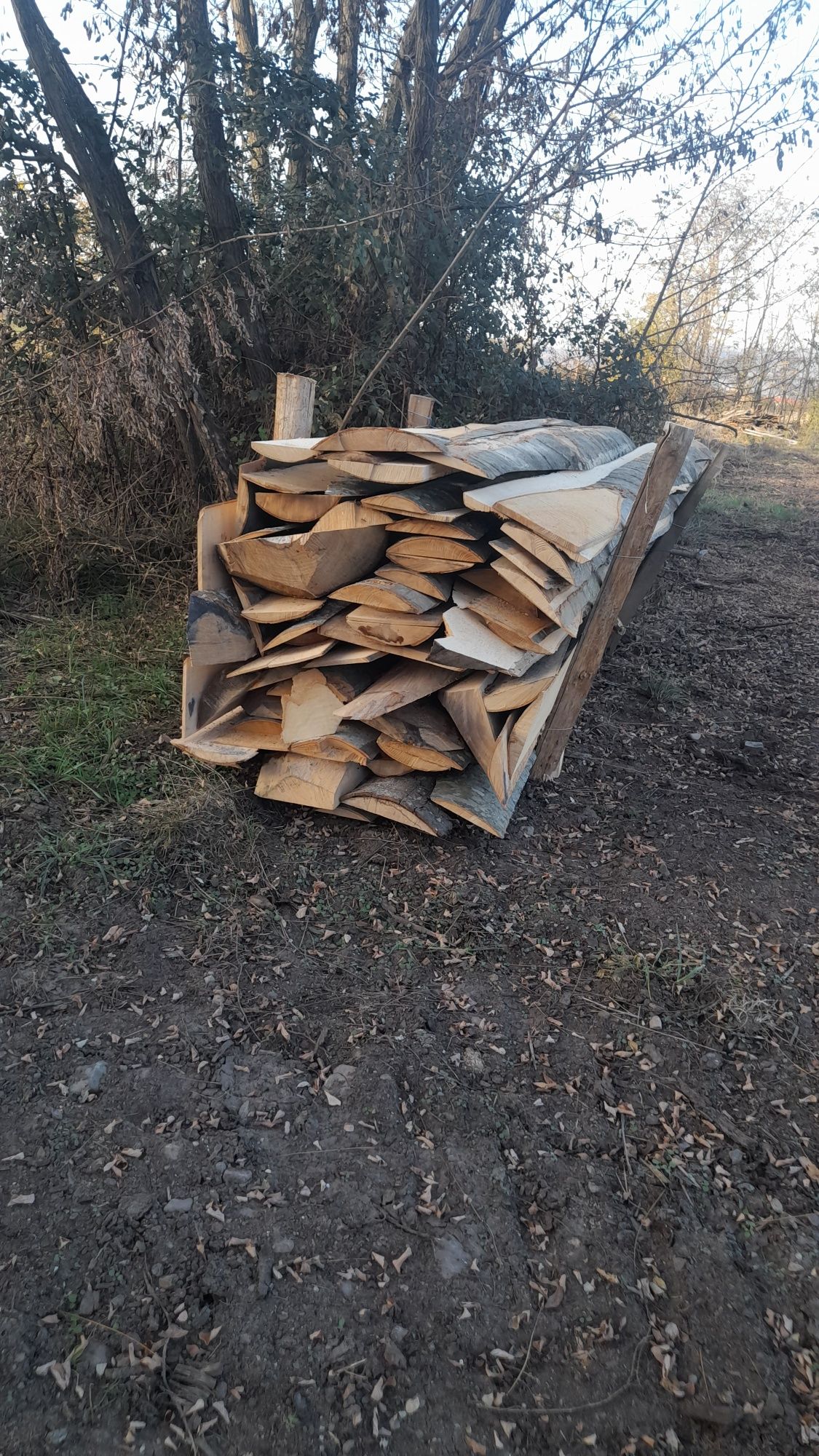 Laturoaie de fag