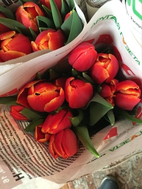 Свежие Тюльпаны на 8 марта