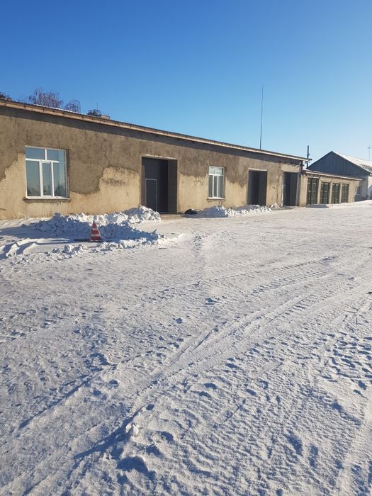 Сдаётся в аренду