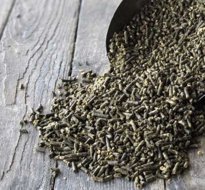 Srot floarea soarelui