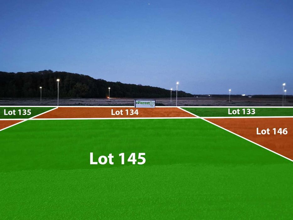 Loturi de teren lângă pădure