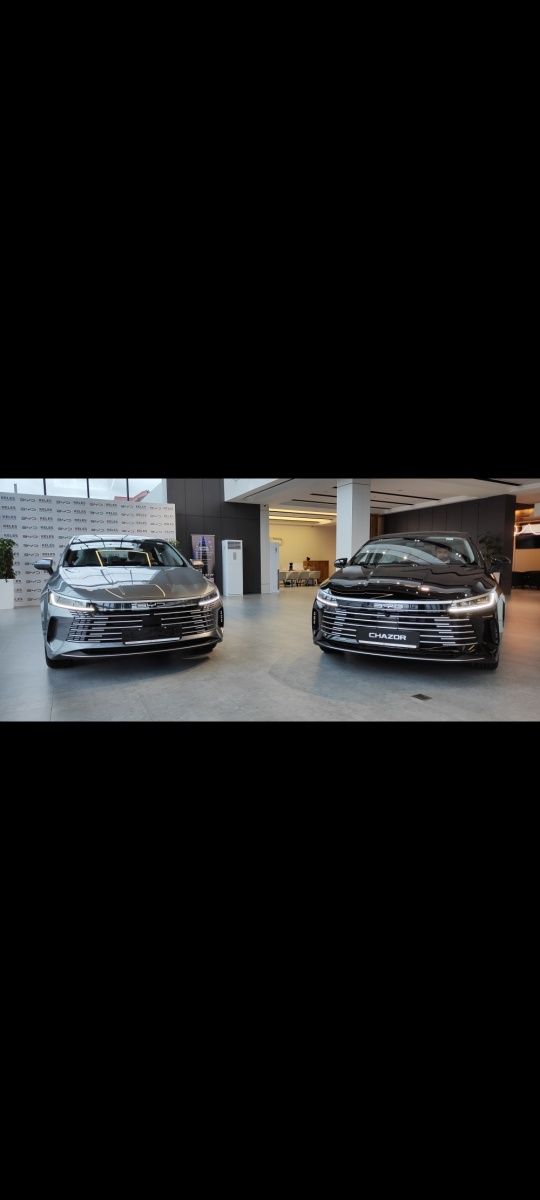 BYD CHAZOR flagship,active,luxe