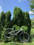 Dirt jumper Rose the bruce 1